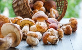 funghi, porcini, pulizia