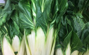 come coltivare bietola, coltivare bieta