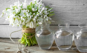 fiori da regalare a san valentino, fiori san valentino