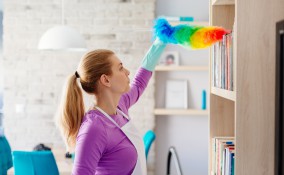 acari, polvere, pulizia