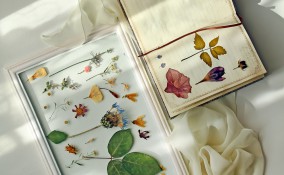 decoupage fiori secchi, decoupage fiori pressati, lavoretti fiori secchi