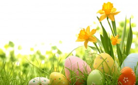 frasi pasqua, citazioni pasqua, auguri pasqua