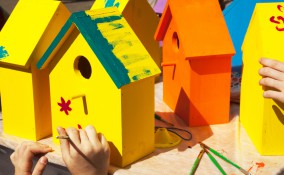 costruire casetta uccellini