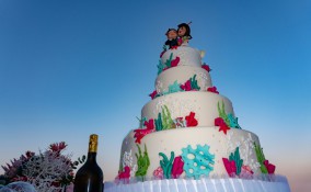 torte matrimonio tema mare, torte tema mare, torte matrimonio tema marino