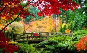 sfondi autunno desktop, sfondi autunno desktop gratis, immagini autunno