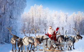 Renne di Babbo Natale