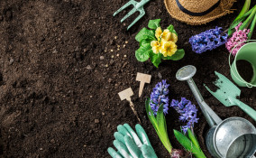 pulire attrezzi giardino