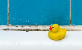 eliminare muffa bagno, soffitto, piastrelle