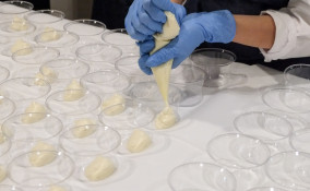 sac a poche fatta in casa