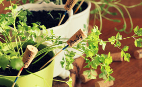 targhette personalizzate segnapiante