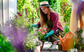 creare giardino fai da te errori, giardino fai da te, come creare giardino, creare giardino fai da te
