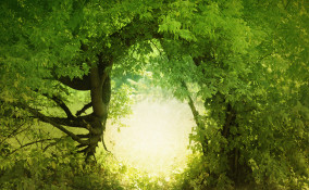 lascia che tutto ti accada bellezza e terrore, poesia rilke 