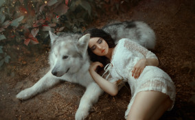 significa, sognare cane morto significato, sogno cane morto 