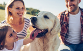 cani per famiglia