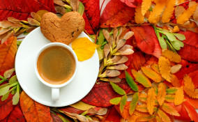 cosa fare domenica pomeriggio autunno, cosa fare domenica pomeriggio