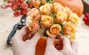 come decorare zucca fiori, decorare zucca