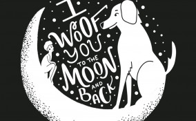 frasi, cani, aforismi