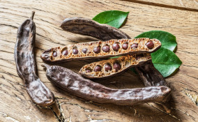 decotto, carrube, benefici