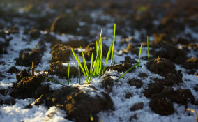 inverno ungaretti poesia, poesie inverno, inverno ungaretti