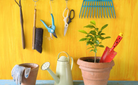 come togliere ruggine attrezzi giardino, come eliminare ruggine attrezzi giardino, ruggine attrezzi giardino