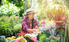 giardinaggio mal di schiena, giardinaggio dolore schiena