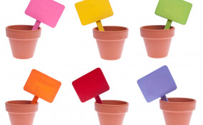 segna piante mandala