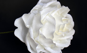 fiori carta nozze fai da te