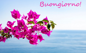 buongiorno con i fiori estivi, buongiorno immagini