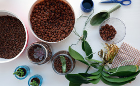 cosa mettere nel fondo dei vasi, cosa mettere fondo vasi