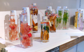 erbario giapponese fai da te