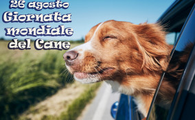 giornata mondiale cane immagini, giornata mondiale cane, giornata cane