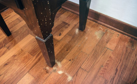 come capire se ci sono tarli nel legno, tarli legno 