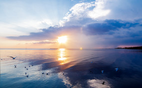 montale poesie, eugenio montale poesie