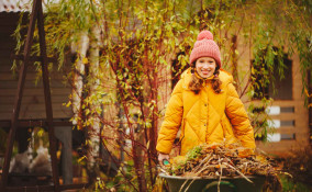 Cura del prato in autunno