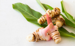 Galangal Root