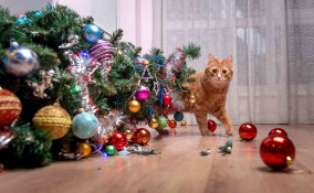 Albero di Natale 2021 gatto