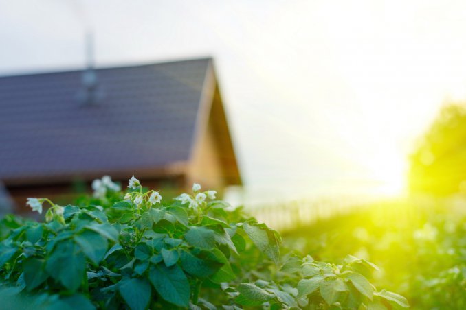 cinema ecosistema manuale guida film eco-sostenibile ambiente  