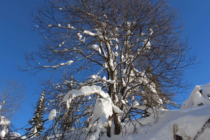 neve sport passeggiate sciare Friuli Venezia Giulia inverno vacanza