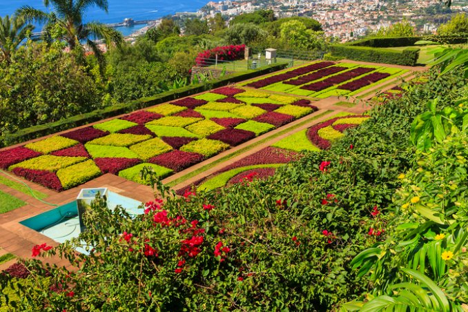 Madera Portogallo viaggi natura isola