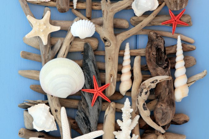 decorazione marina stella vassoio