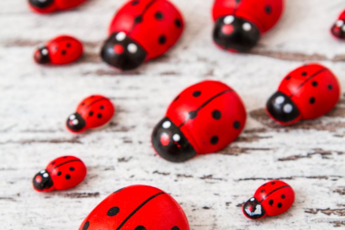 coccinelle decorazione decoupage