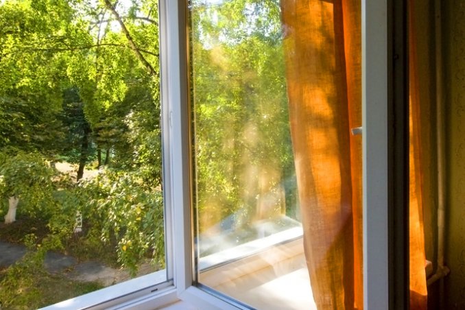 Liberati della muffa