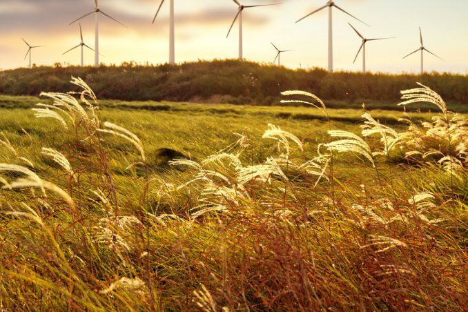 ventoso, aria, soffiare, brezza