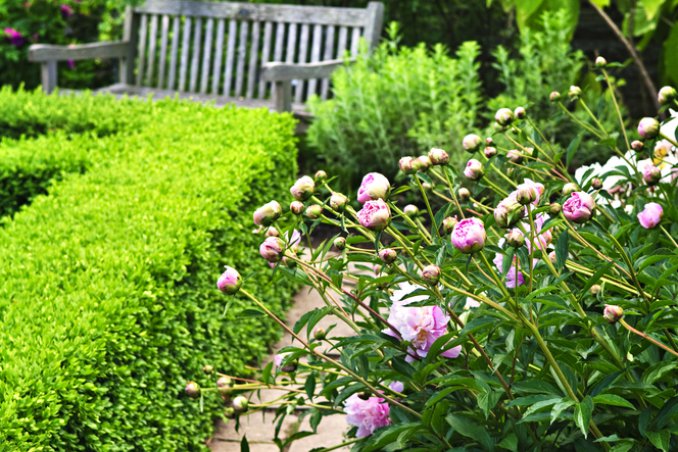 labirinto, confusione, caos, groviglio, perso, disperso, complicato, difficile, confuso sogno