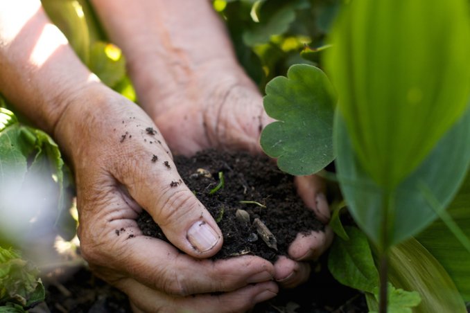terra torba umidità giradinaggio