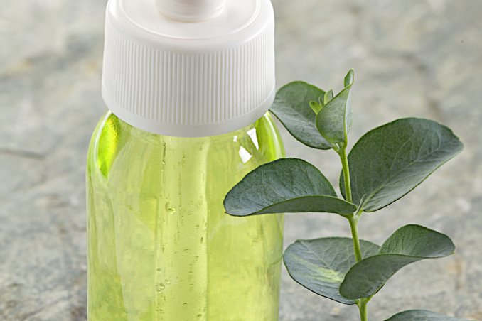 eucalipti rimedi pianta tisane erboristeria