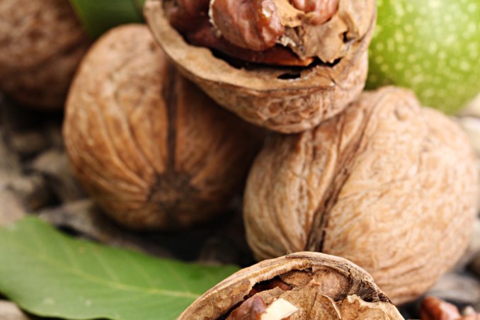 frutta guscio secca benefici salute proprietà nutritive