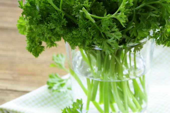 erbe aromatiche sapore cucina condimento