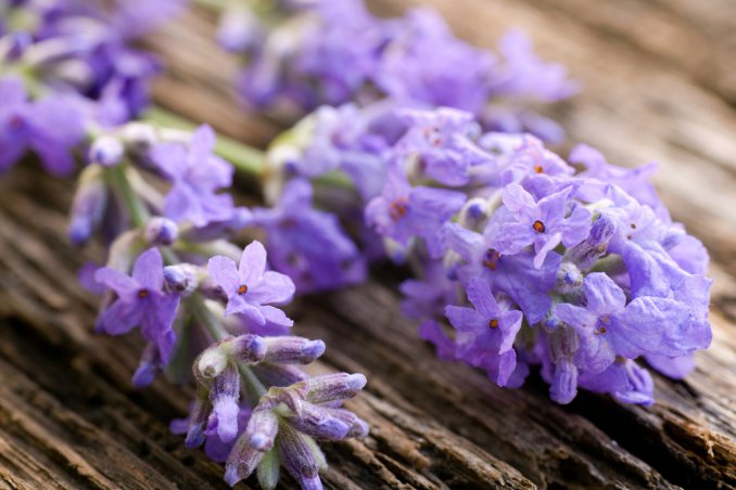 decoupage tridimensionale, decoupage su tessuto, hobby, fai da te