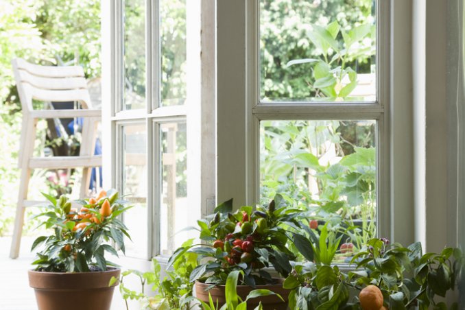 micro serra in cucina